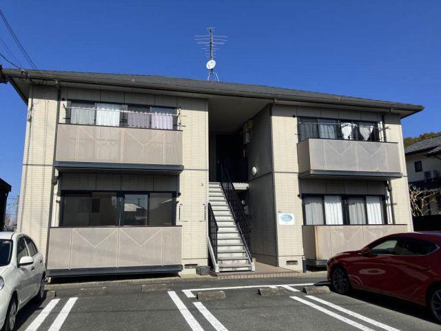 ディアス木の花