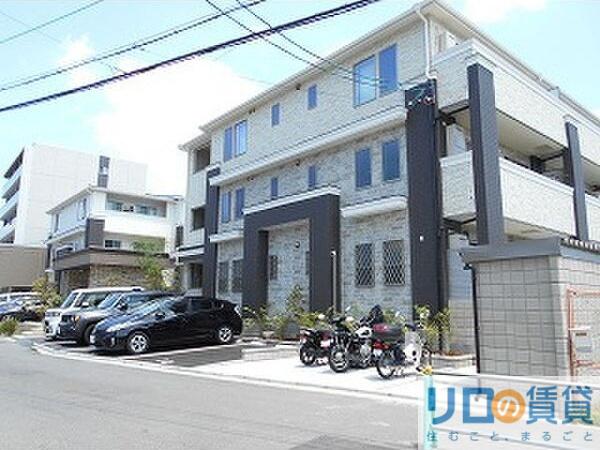 JACARANDA YARD A