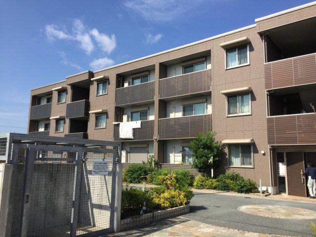 ラヴィ アンソレイエ