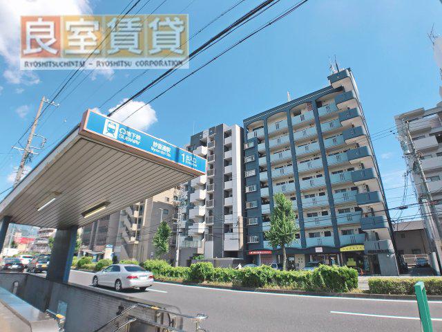 シャンボール朝日