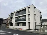 CHRYSANTHEMUM岐南