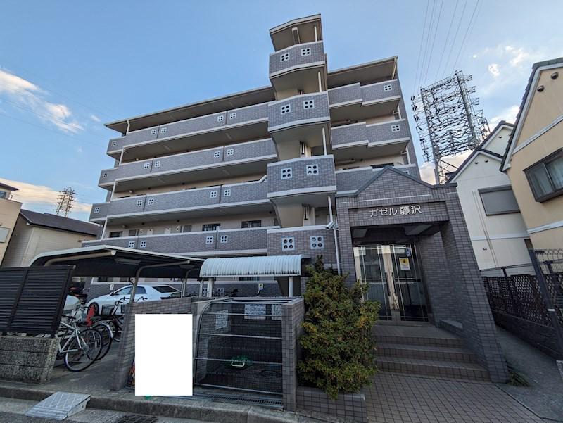 ガゼル藤沢