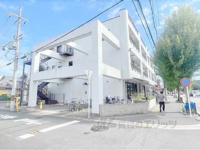 レイ北山