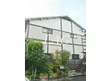 クレオンパテラ大森
