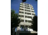 PRIMAVERA KOBE