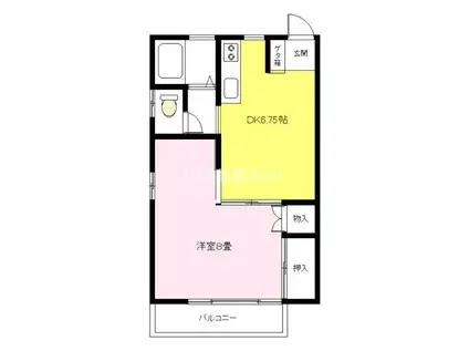 ハイツ倉持(1DK/1階)の間取り写真