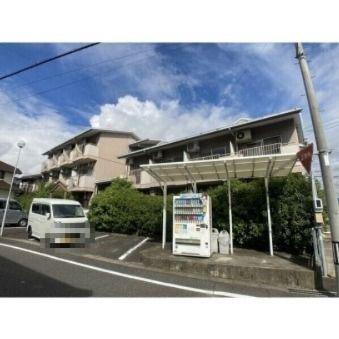 パル美合