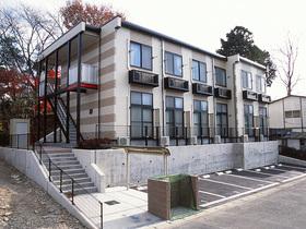 KANEKOII