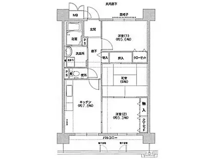 コーシャハイツ相生(3DK/6階)の間取り写真