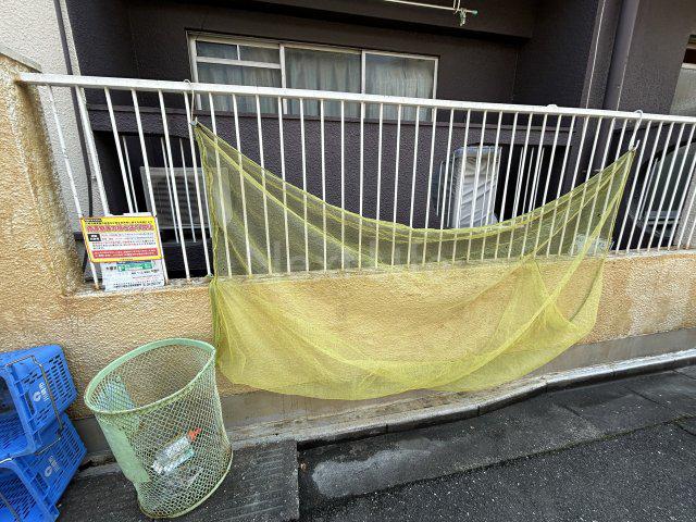 ドルフィンハイツⅡ