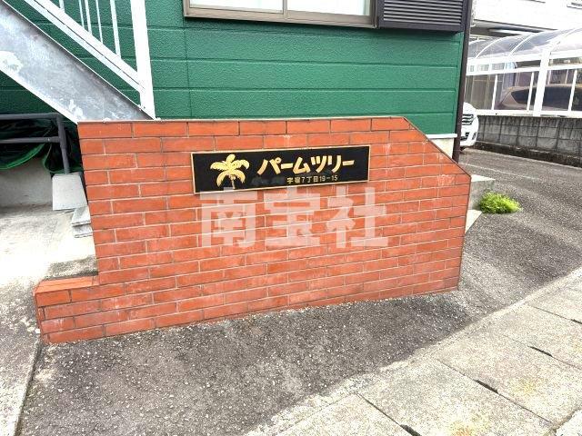 パームツリー