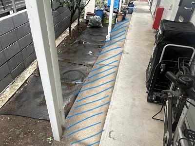 フラットカメリア