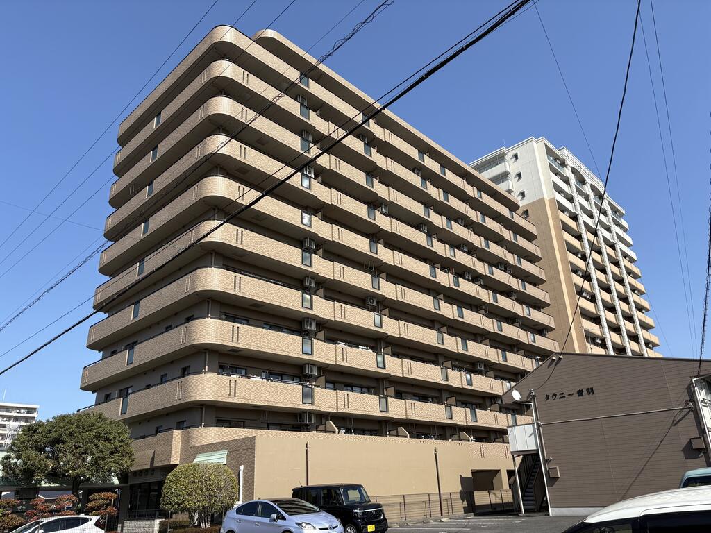 マルベリー多治見