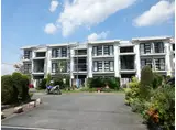 アルティスタ