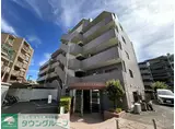 ドムール元山