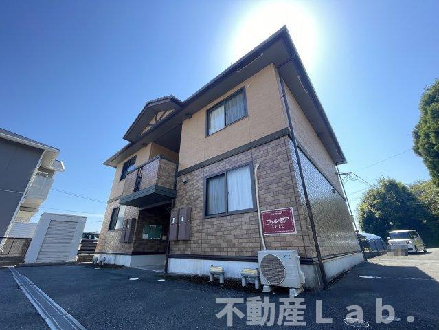 ウィルモア松橋