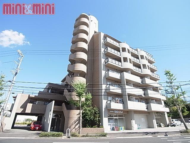 パレ清水が丘(2LDK/2階)