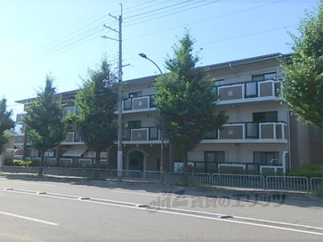 セントラルヴィレッジ