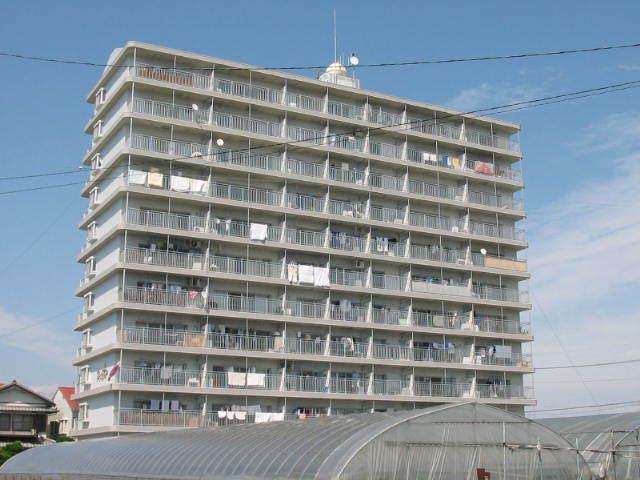 とさでん交通後免線 知寄町三丁目駅 徒歩7分 11階建 築36年