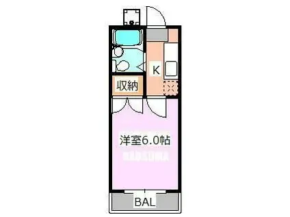 ハイムオークウッド(1K/1階)の間取り写真