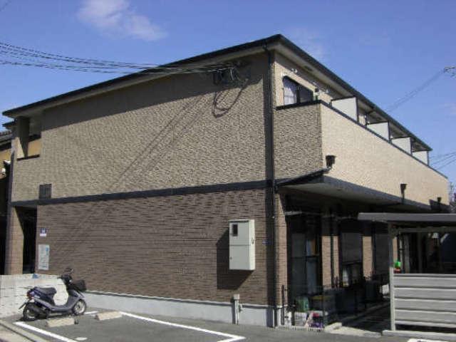 コート・エクラン光