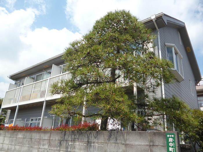 セラビ 当社管理物件