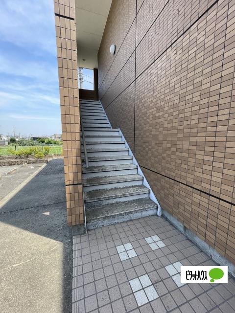 ジュニパー弘西