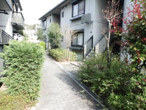 ディアス平野