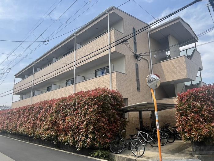 アンプルールフェール フリージア