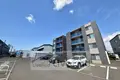 プライムタイム