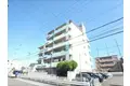サンフローラ桂