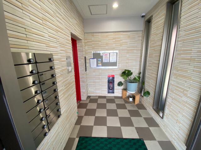 MODENA甲突