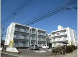 ライトハウス木原