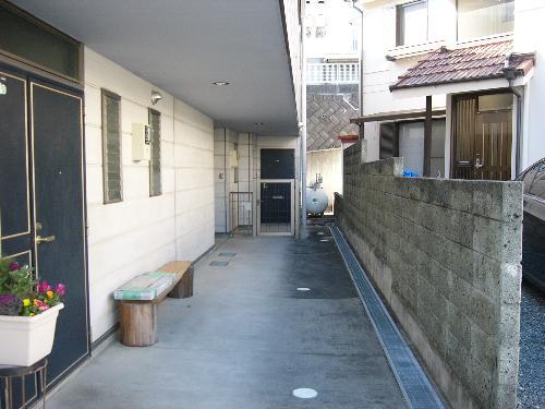 MOMOの実
