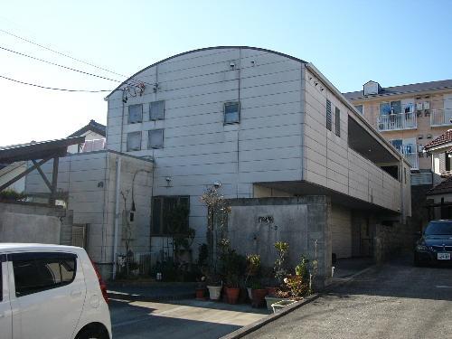 MOMOの実