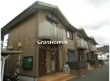 コンフォート才