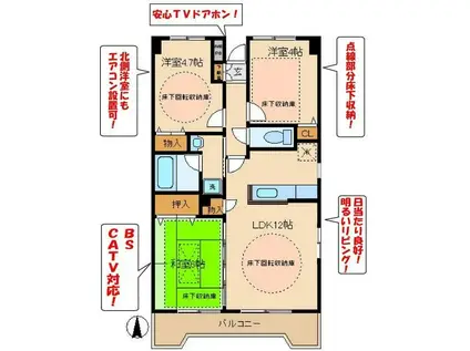 セラ禎水館(3LDK/1階)の間取り写真