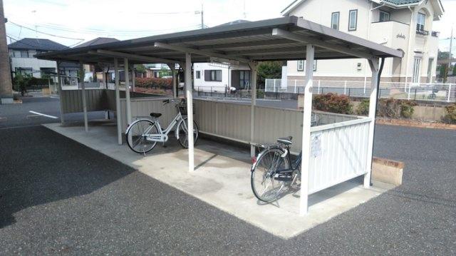ロックパイン A