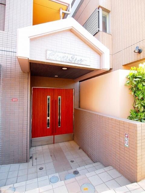 エヴァーグリーン