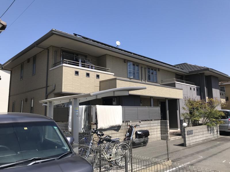 アマルフィY