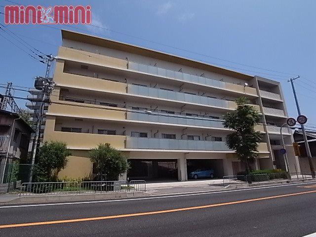 アロハ海岸通