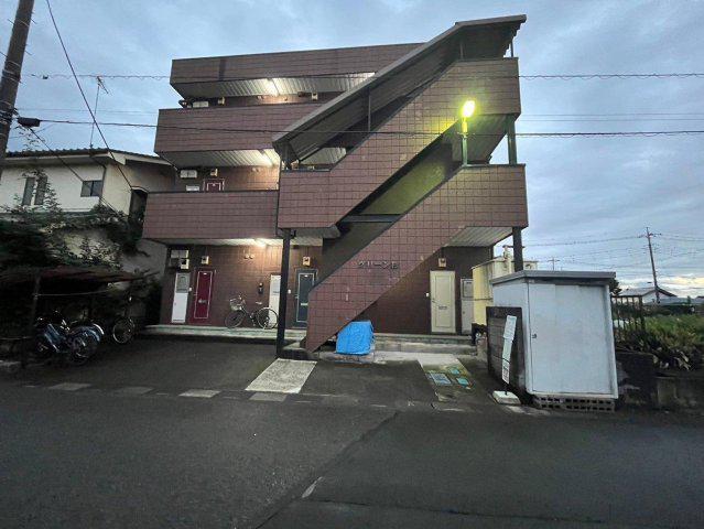 グリーン杉
