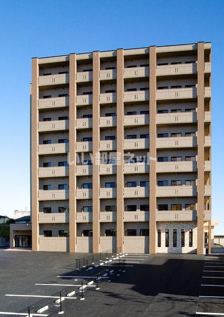 プラナス桜