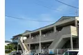Tハピネス