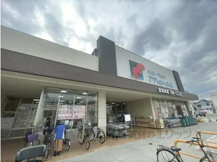 YOUハイム衣摺(ワンルーム/1階)の周辺写真