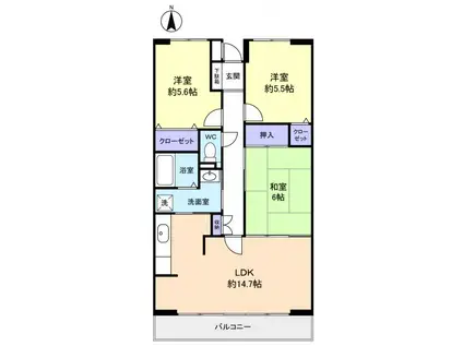 ルーチェ緑が丘B(3LDK/1階)の間取り写真