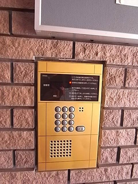 アーバンジャングルプレース174S