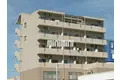 クランベリー巾下