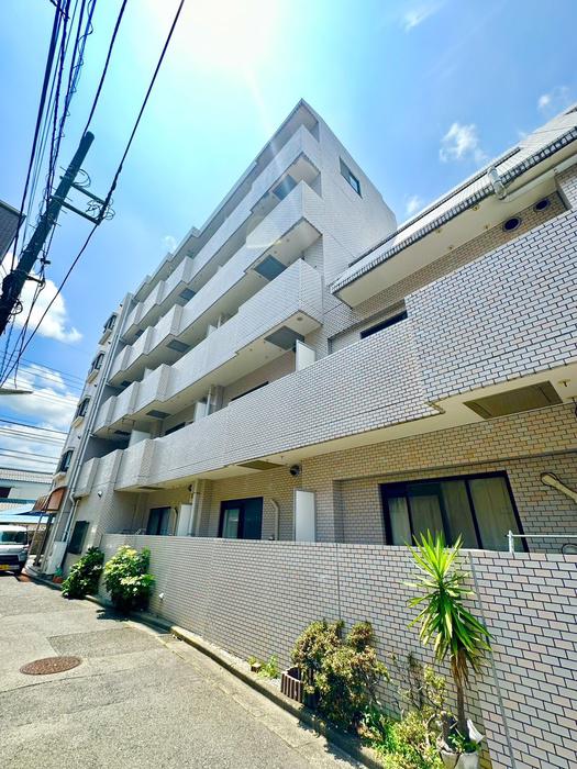 関口ハイツ(1DK/1階)
