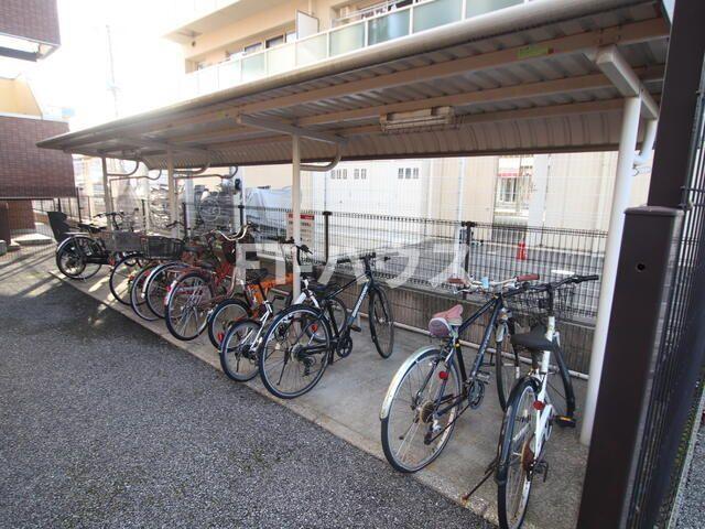 アムールトミー